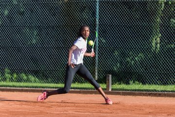 Noma Noha Akugue 300 - Amato Caffe Open